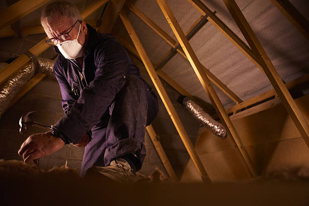 Best Types of Insulation in Dickson City, PA